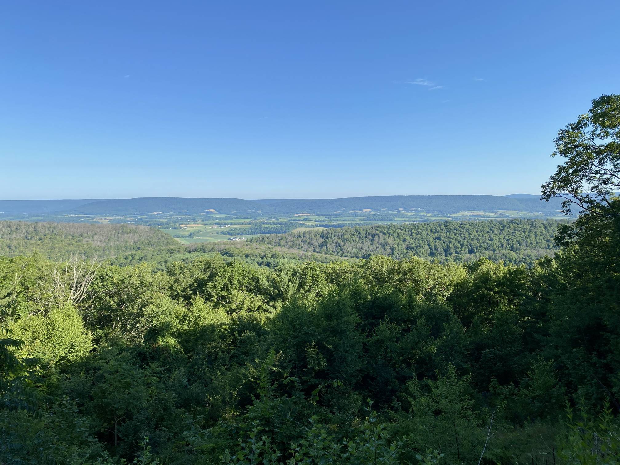 Hike Trails in Bald Eagle State Forest, PA | MyHikes